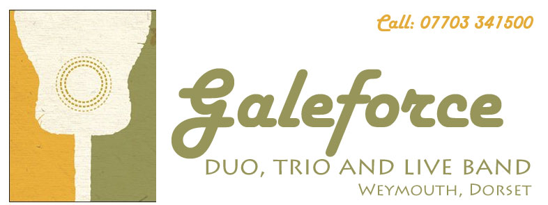 Galeforce Live Music Duo